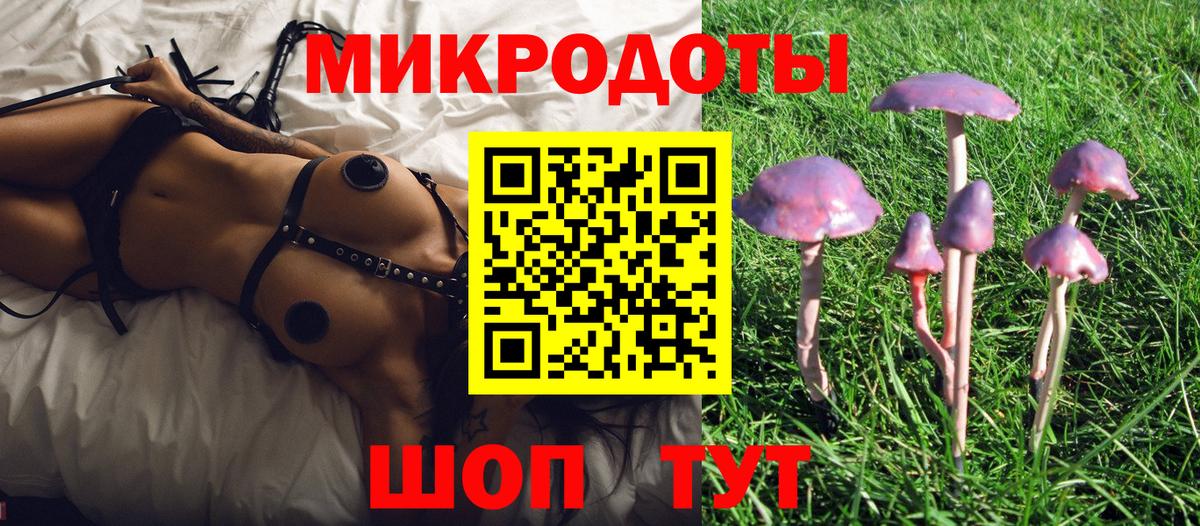 Псилоцибиновые грибы прущие грибы Коряжма