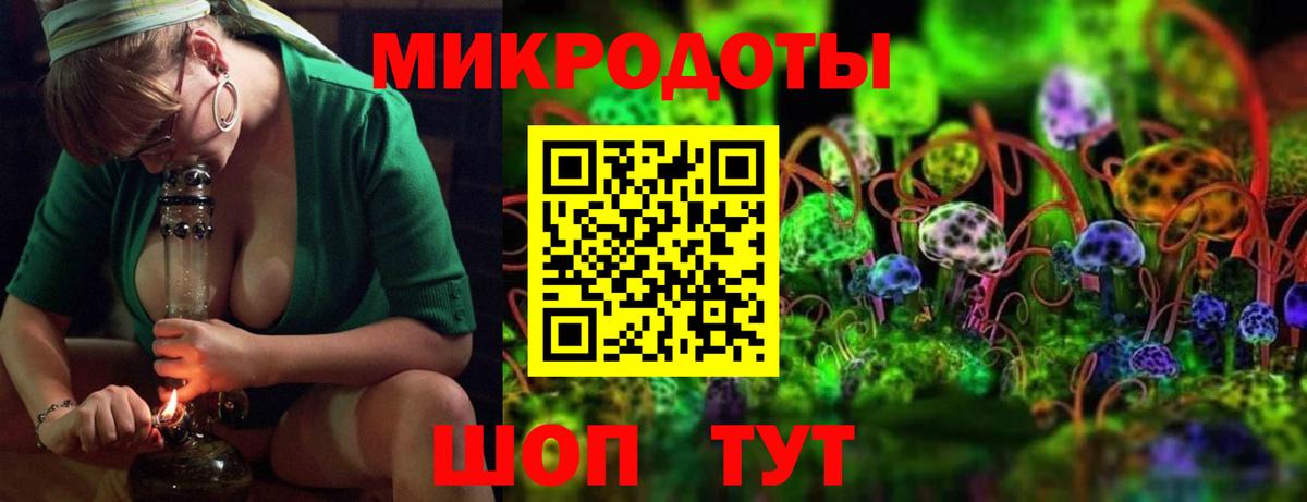 где можно купить   Вход с VPN  Коряжма  Псилоцибиновые грибы Psilocybine cubensis 